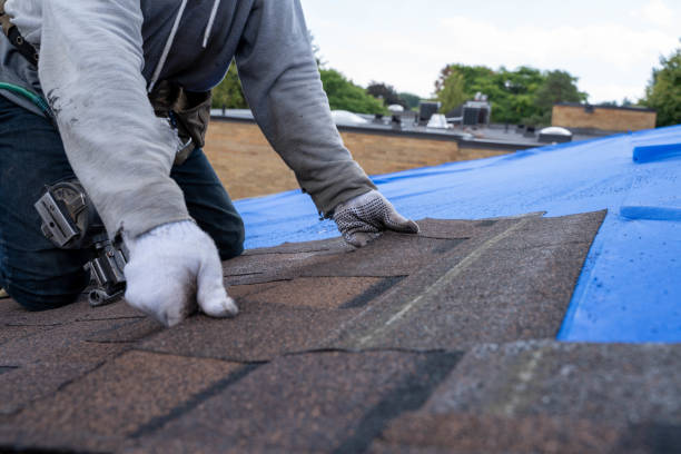 Best Roof Gutter Cleaning  in Pomona, KS